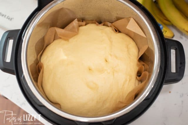 dough rising in instant pot