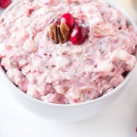 bowl of creamy fruit salad with cranberries