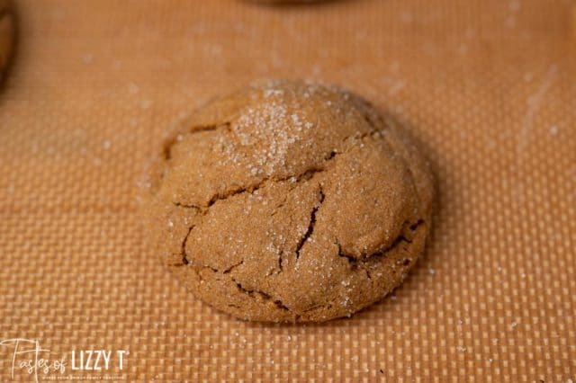 soft gingerbread cookie on a baking mat