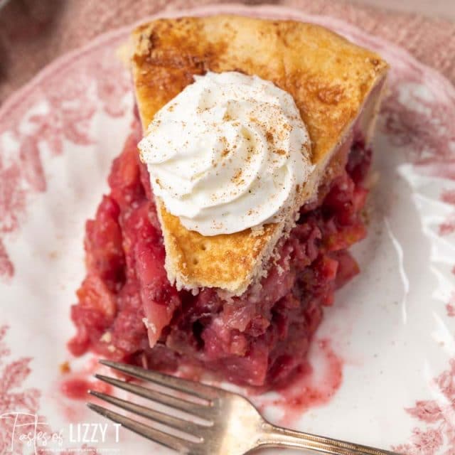 overhead view of a piece of pie on a plate with one bite missing