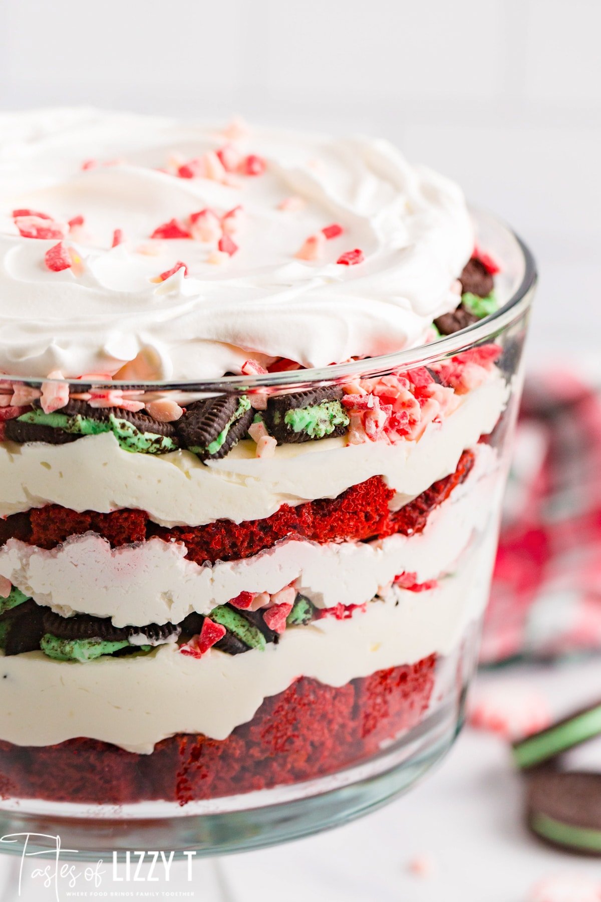 HOLIDAY PEPPERMINT ICE CREAM CAKE ROLL - Butter with a Side of Bread