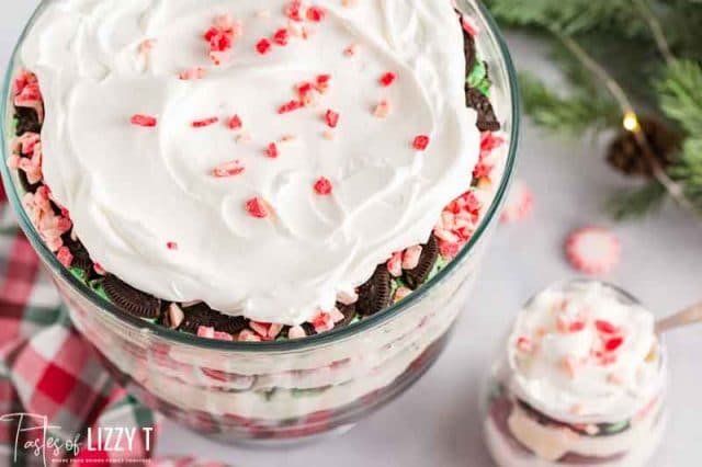 overhead view of peppermint trifle