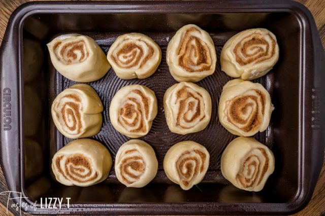 unbaked cinnamon rolls in a pan