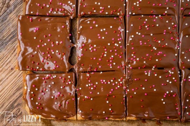 overhead view of chocolate topped cookie bars