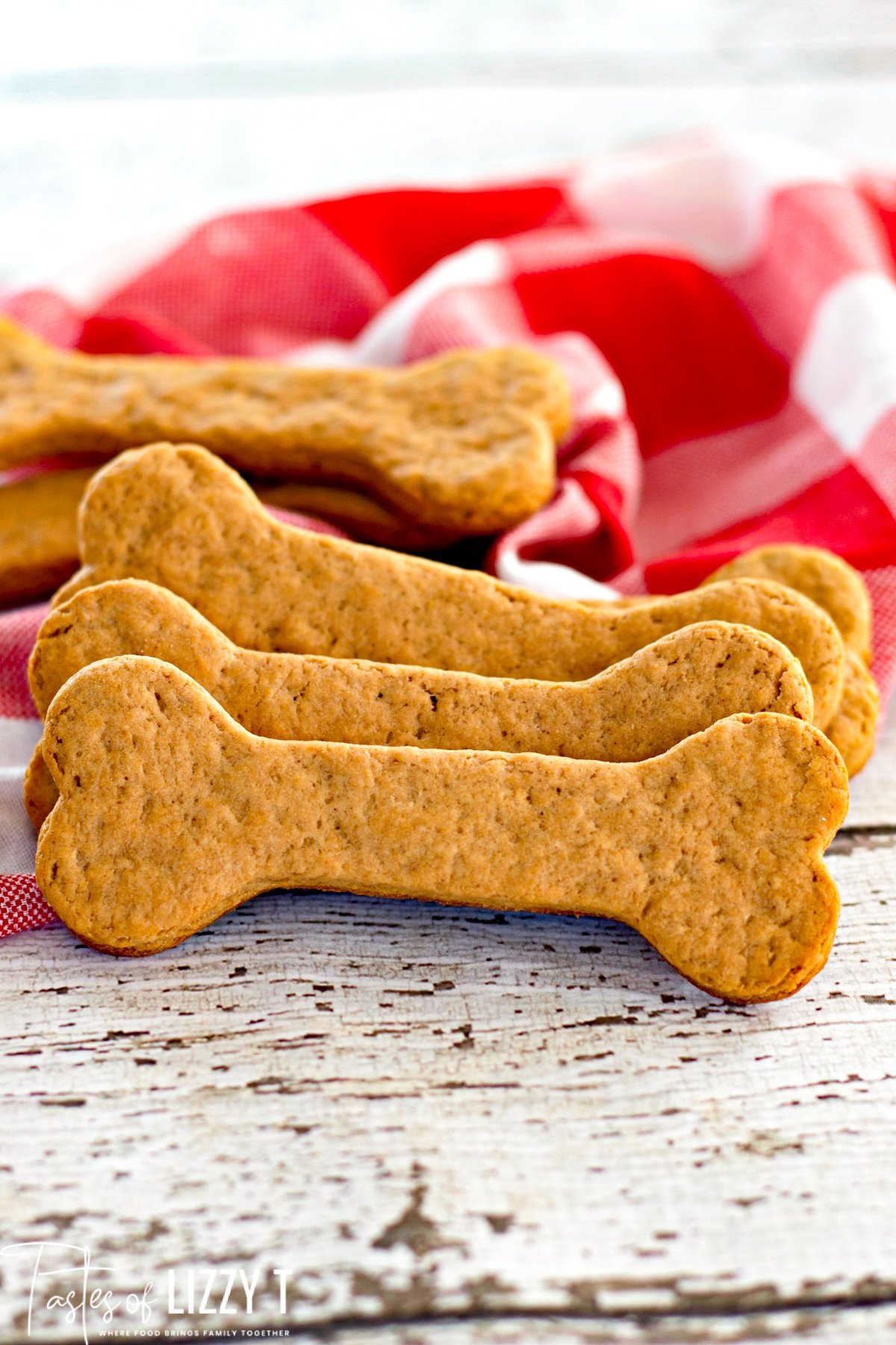Oozies Dog Biscuits Wholesale Outlet, Save 55% | jlcatj.gob.mx