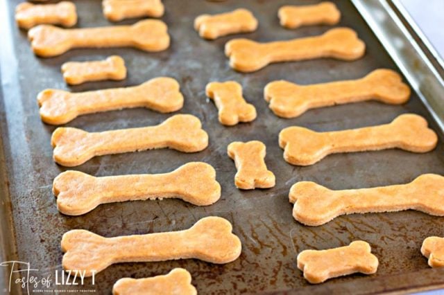 uncooked dog treats on baking pan