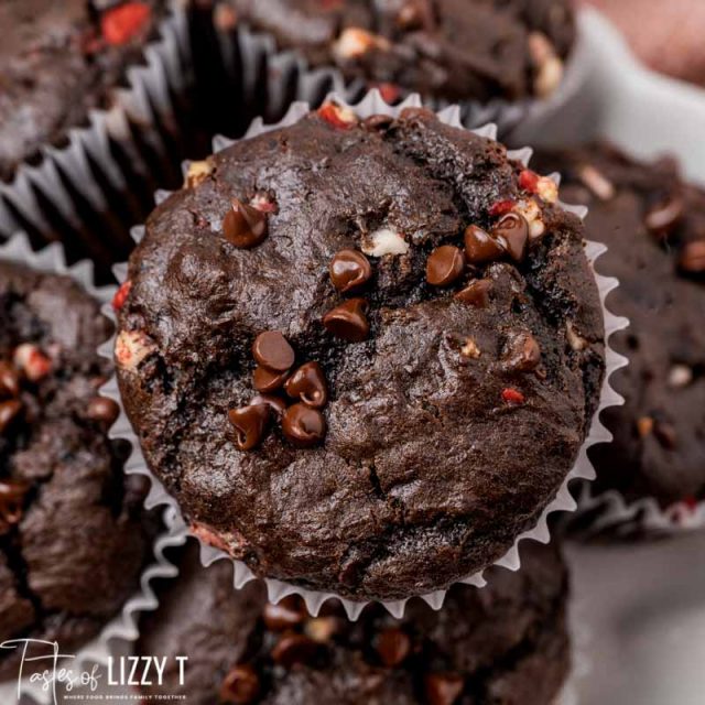 closeup of chocolate muffin