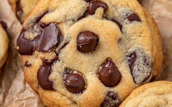 closeup of a cookie