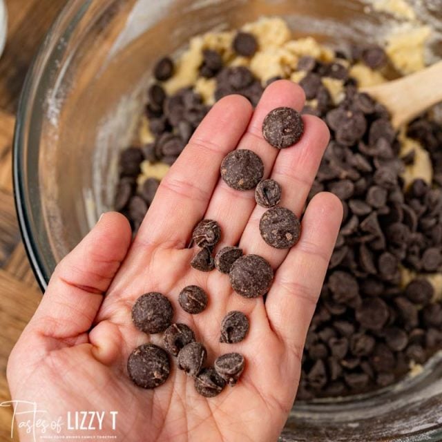 a hand holding chocolate chips