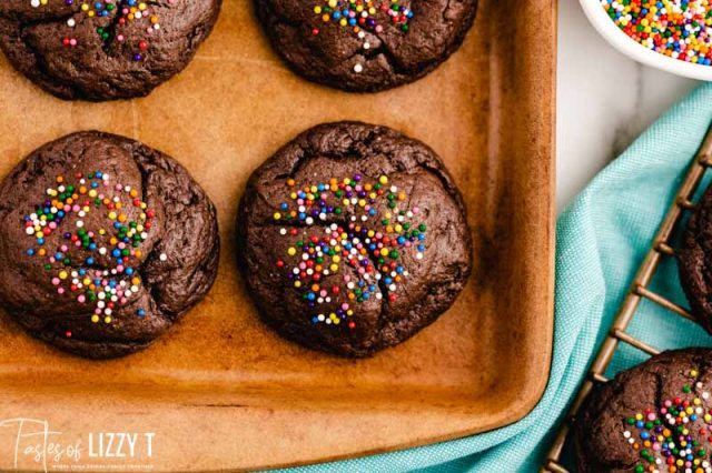 closeup of chocolate cookies on a baking sheet