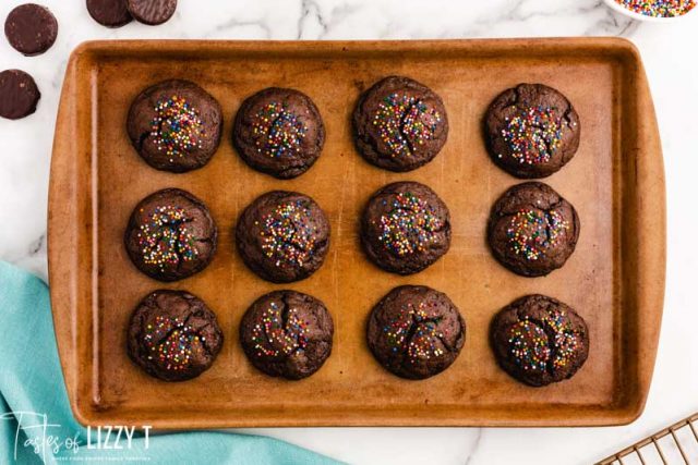 chocolate cookies on a baking sheet