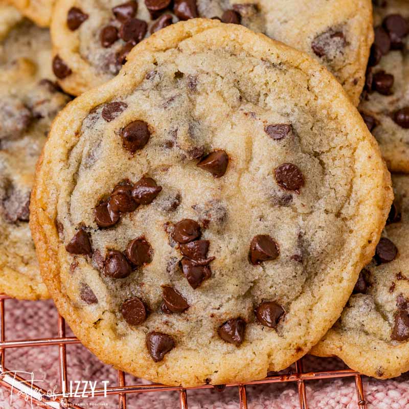 closeup of a chocolate chip cookie