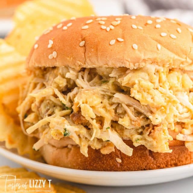 closeup of a chicken sandwich