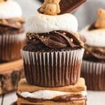 a closeup of a cupcake with marshmallows and chocolate