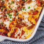 lasagna rollups in a pan