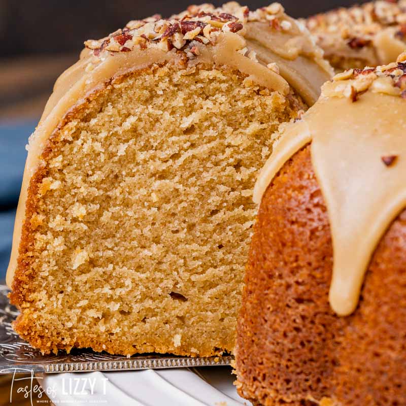 closeup of a piece of cake on a plate