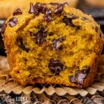 closeup of a pumpkin chocolate chip muffin cut in half