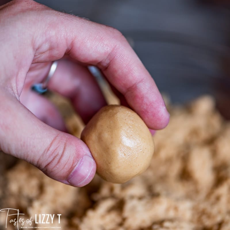 hand holding a peanut butter ball