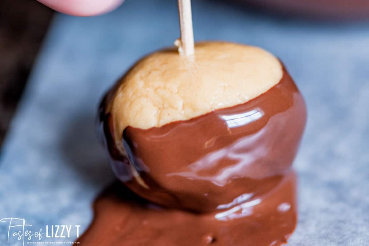 dipping chocolate off of a buckeye on a toothpick