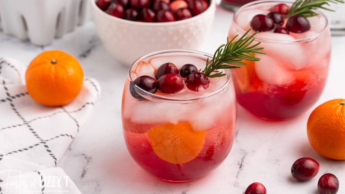 Cranberry Orange Punch {Mocktail Drink Recipe} Tastes of Lizzy T