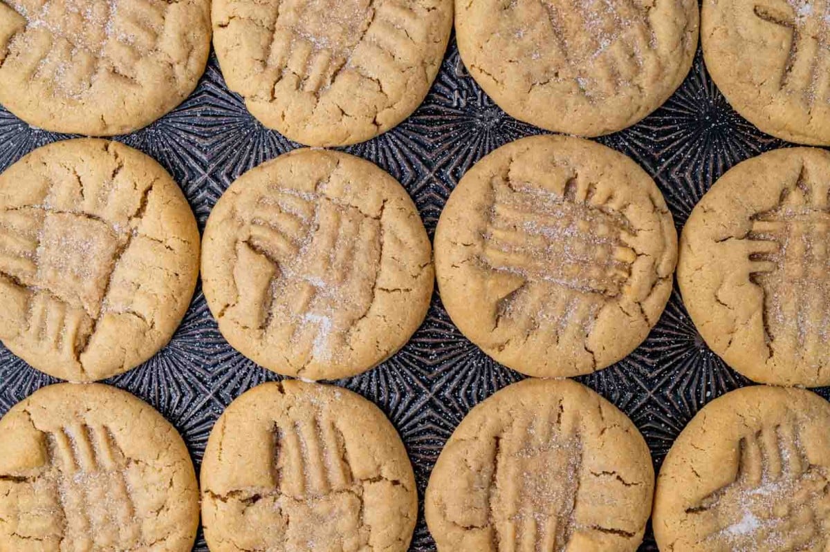 overhead view of soft peanut butter cookies on a cookie sheet