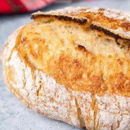 a loaf of sourdough bread category