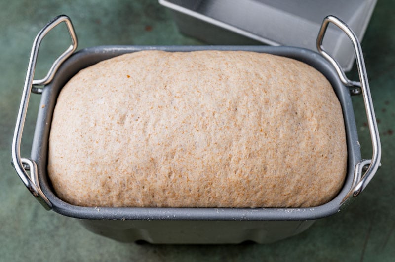 wheat bread dough in a pan