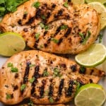overhead view of 2 grilled chicken breasts