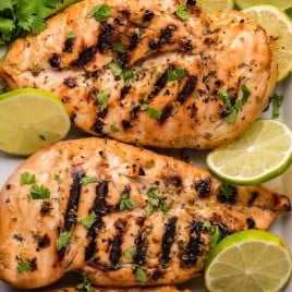 overhead view of 2 grilled chicken breasts