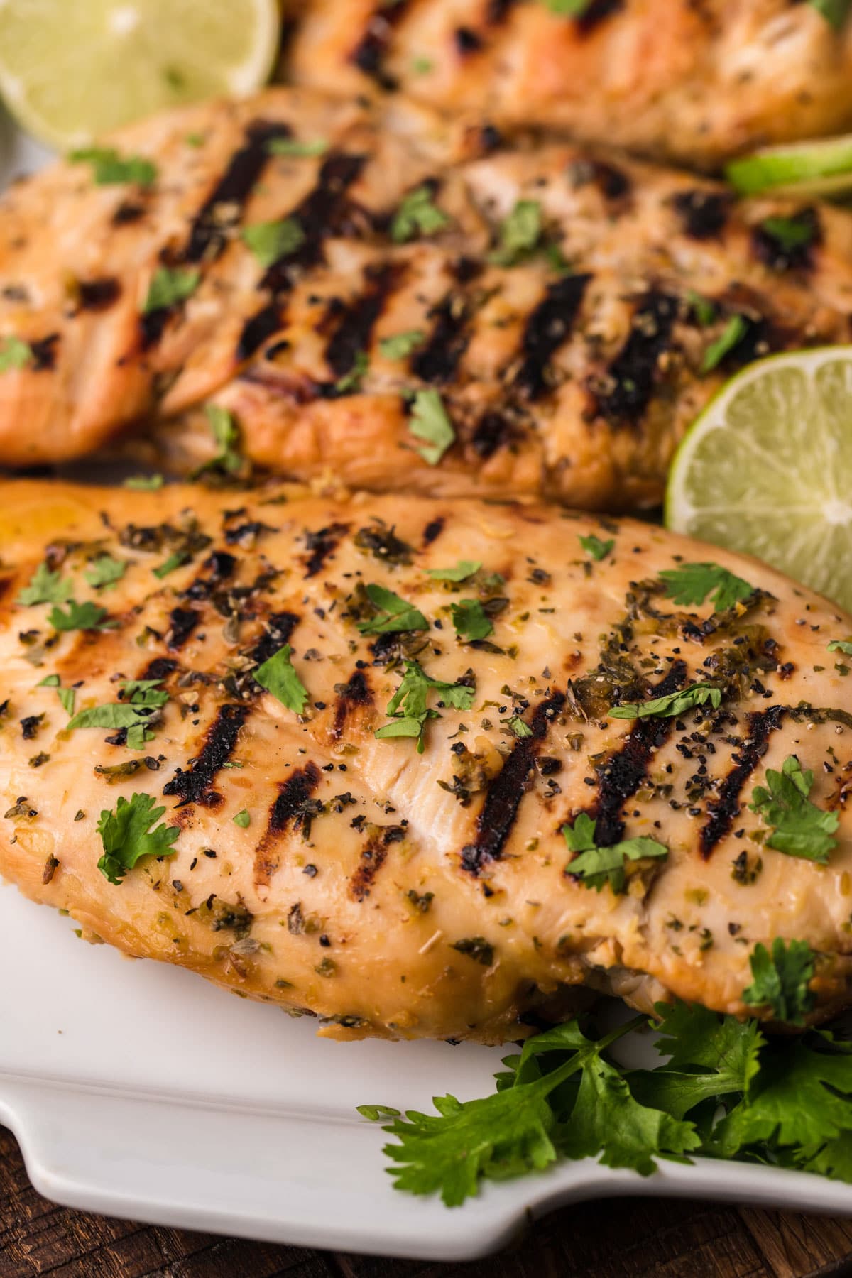 grilled chicken on a plate with fresh herbs