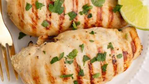 overhead view of grilled chicken with lemon lime flavor