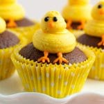 a cupcake with an easter chick on top