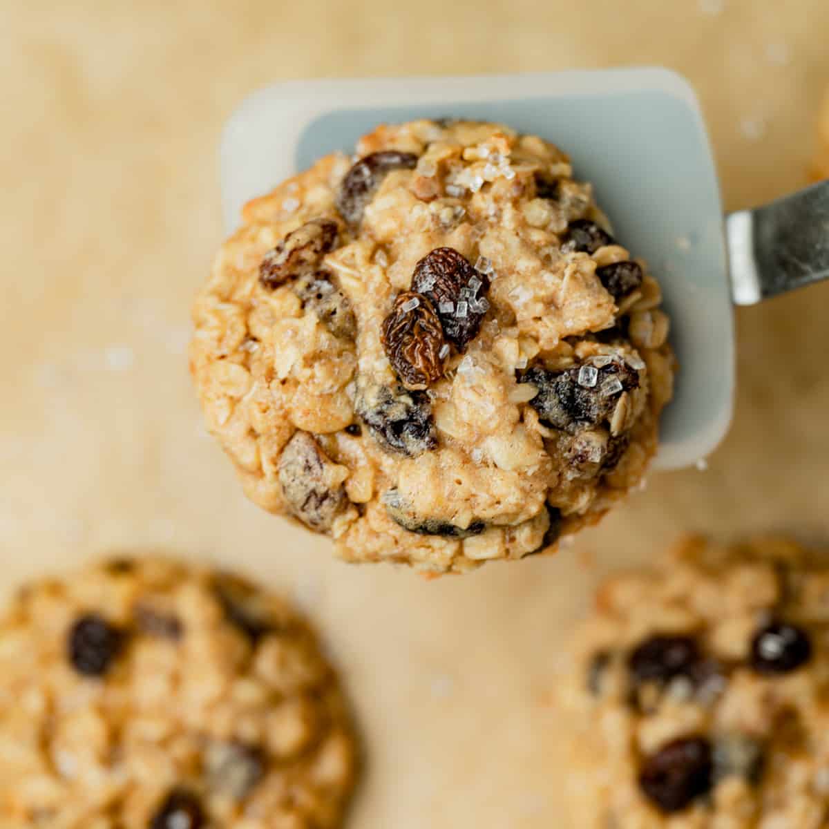 oatmeal raisin cookies on a spatula
