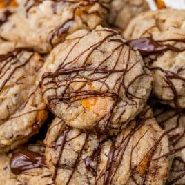 closeup of chocolate chip tropical mango cookies