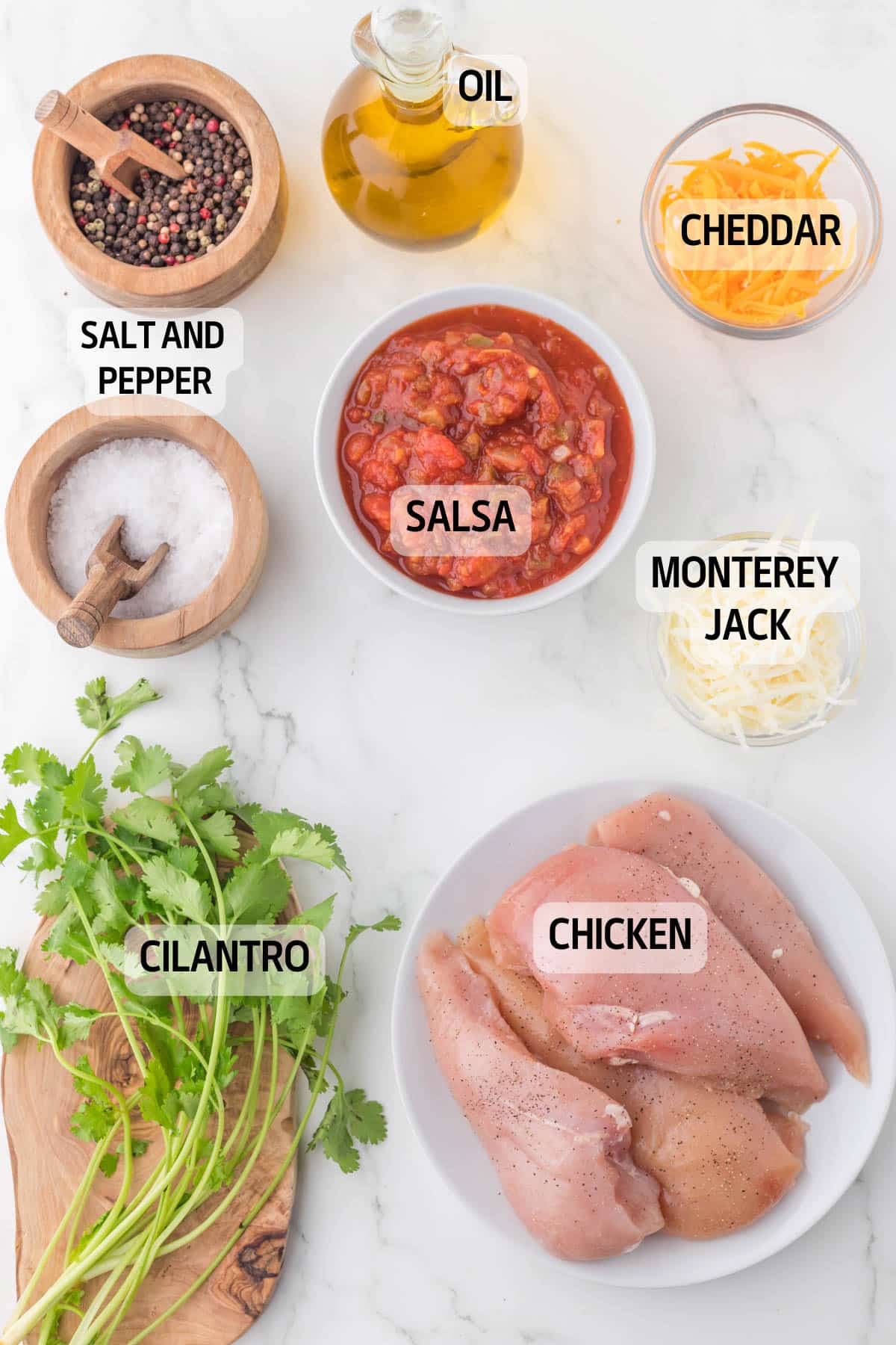 ingredients for salsa chicken on a table