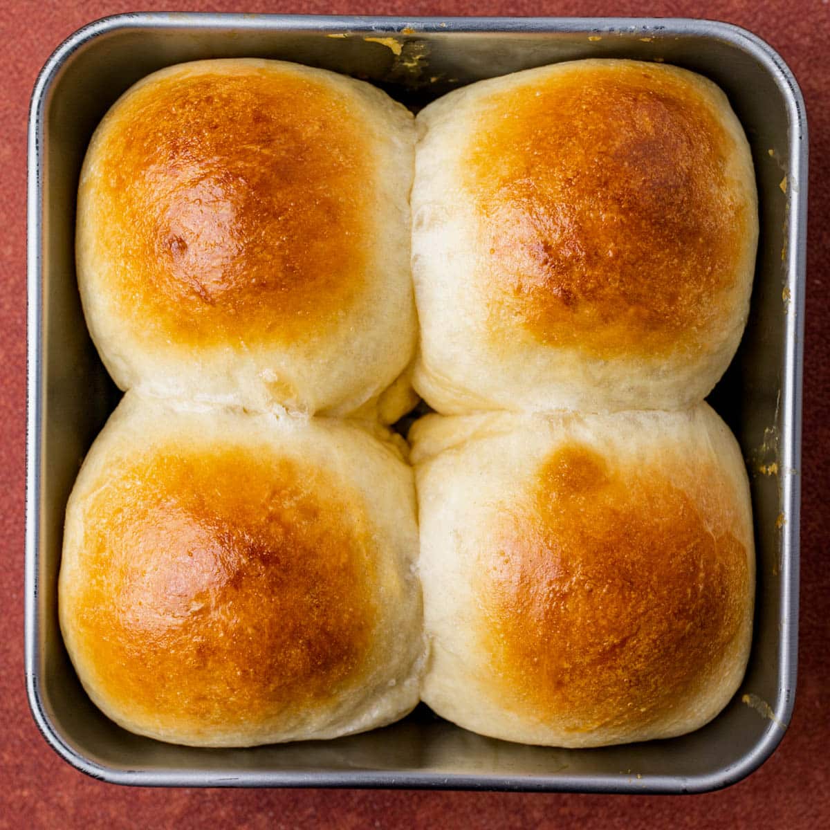 egg white and cream brushed dinner rolls