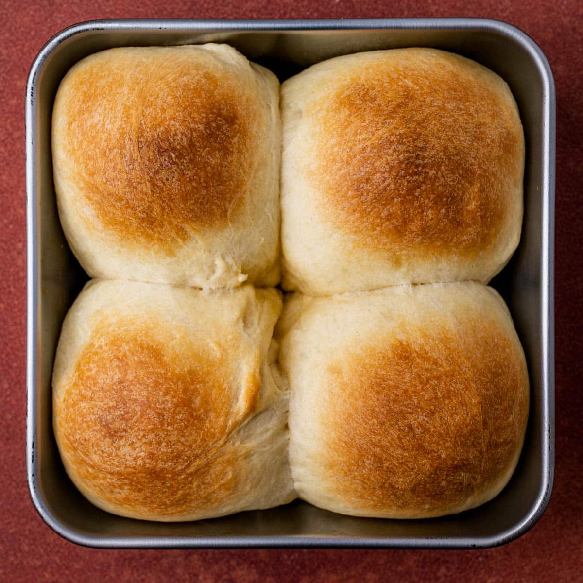 oil brushed dinner rolls