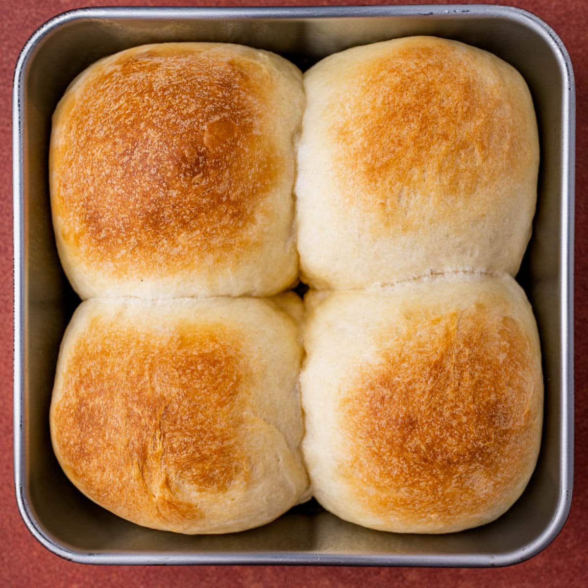 butter brushed dinner rolls