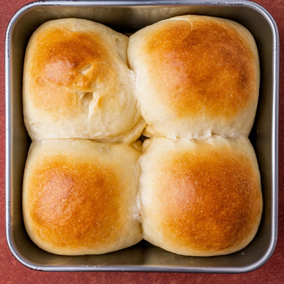 milk brushed dinner rolls