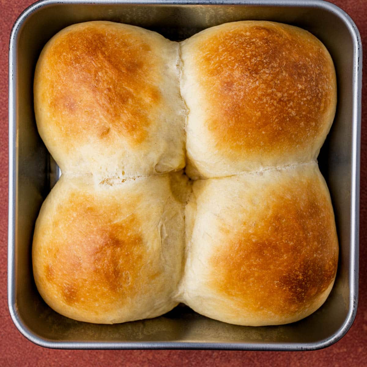 water brushed dinner rolls
