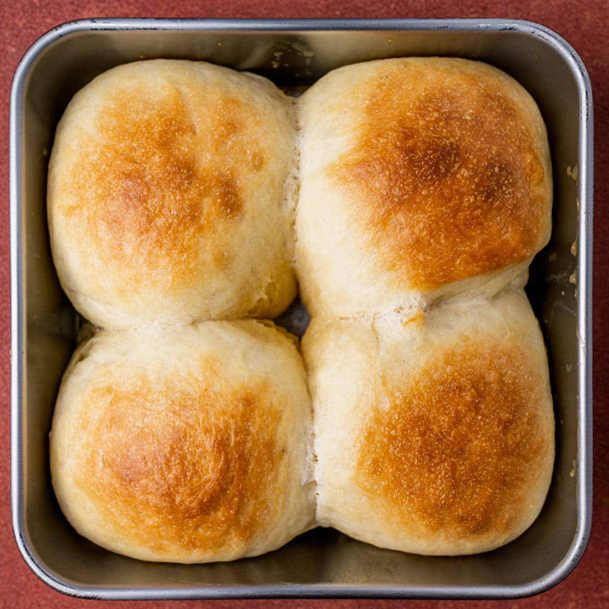 cream brushed dinner rolls