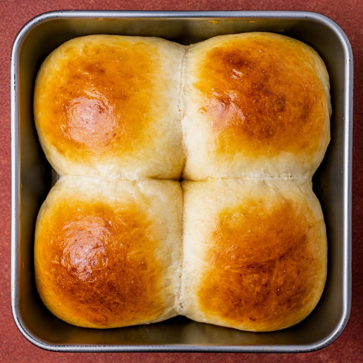 egg brushed dinner rolls