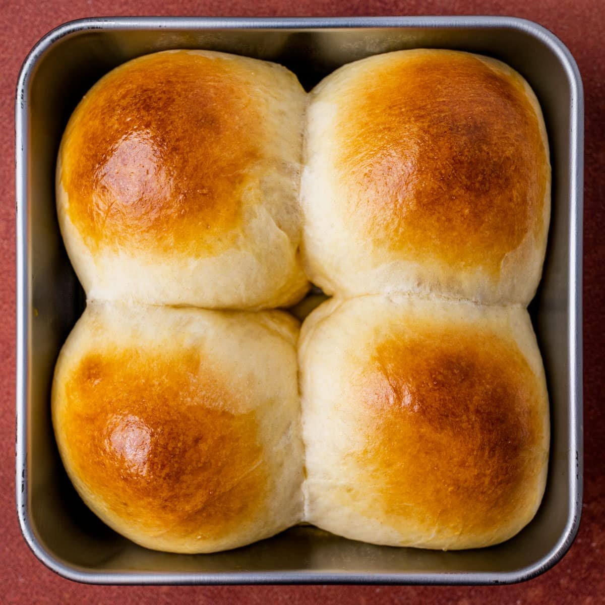 egg and water brushed dinner rolls