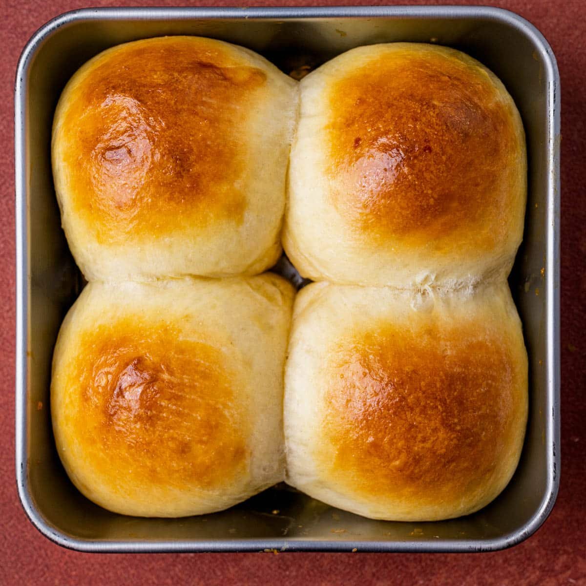 egg and cream brushed dinner rolls