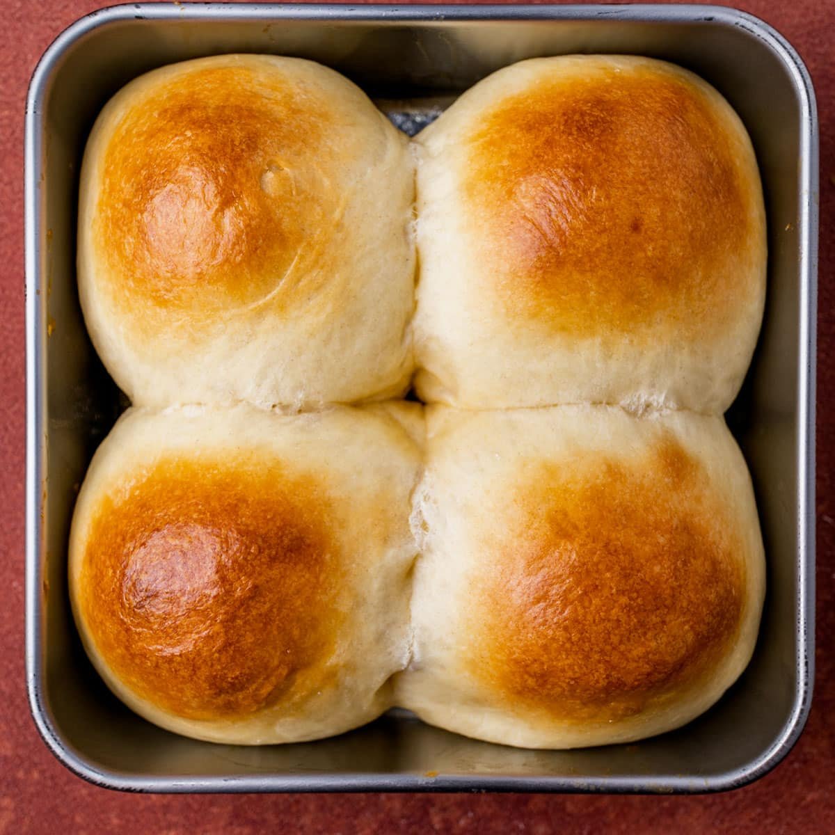 egg white and water brushed dinner rolls
