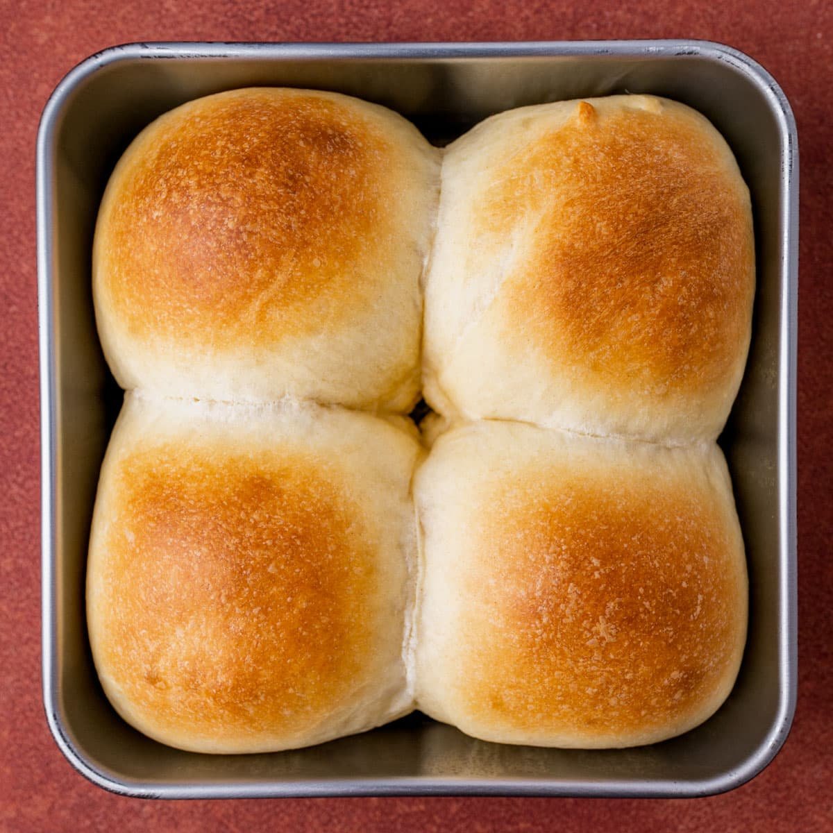 plain dinner rolls in a pan