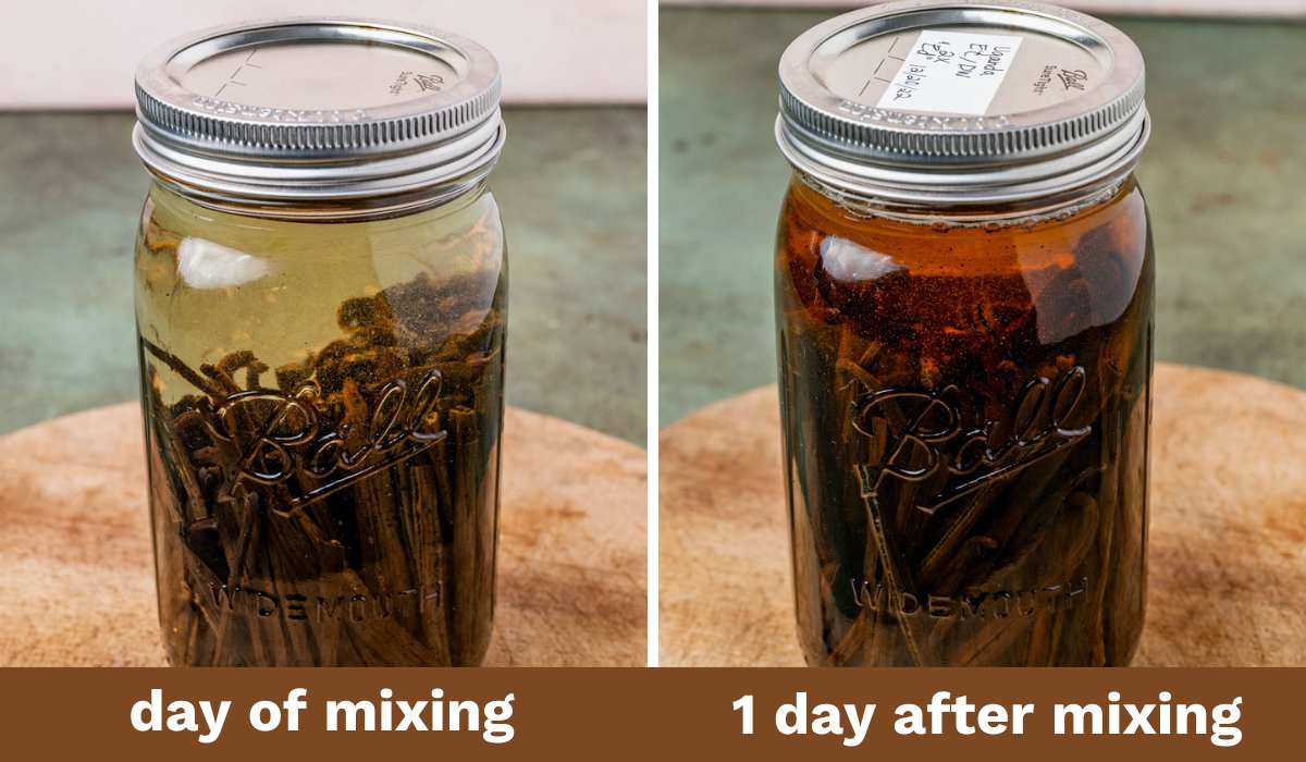 two mason jars of vanilla extract