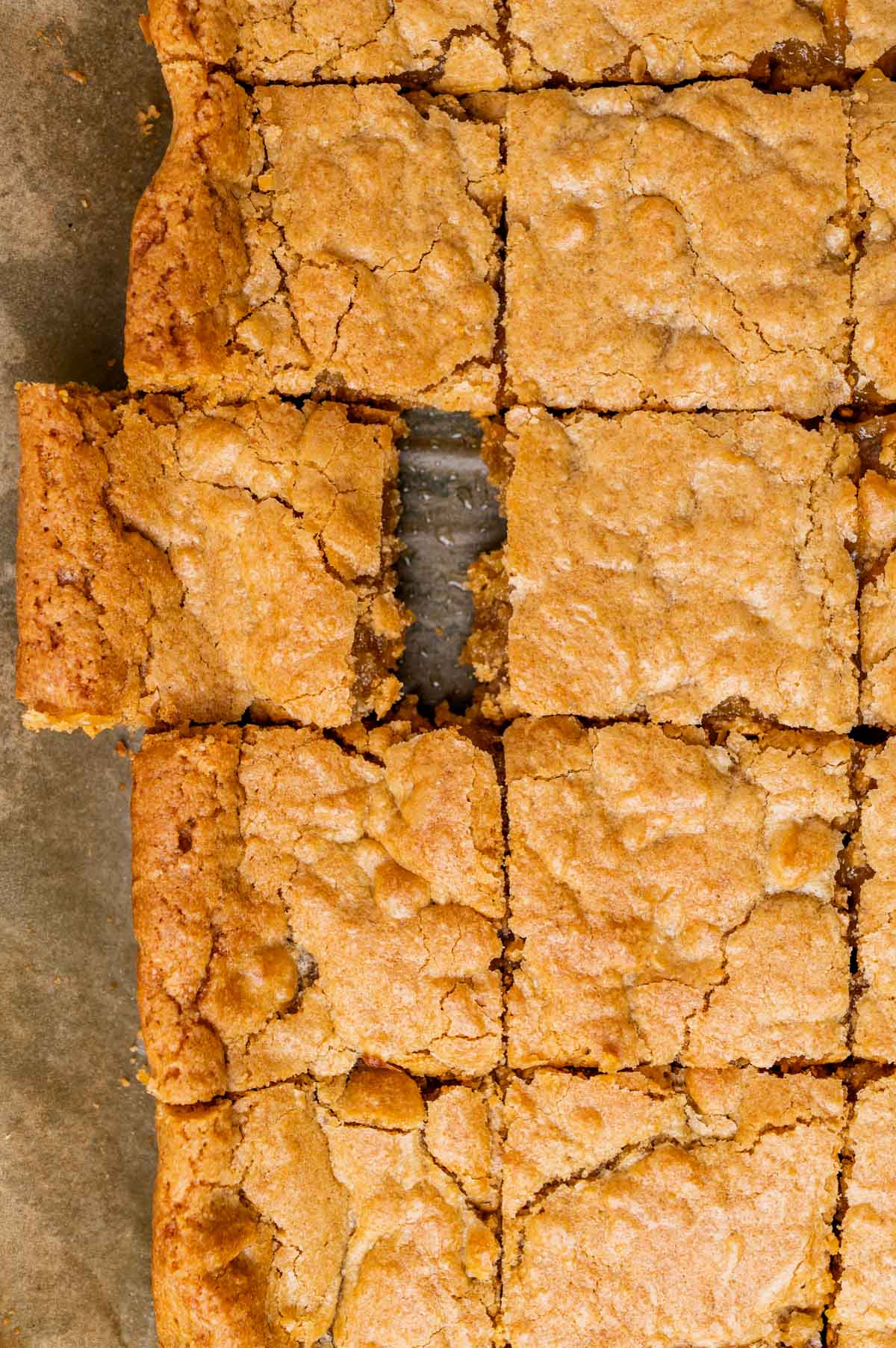 overhead view of sliced butterscotch cookie bars
