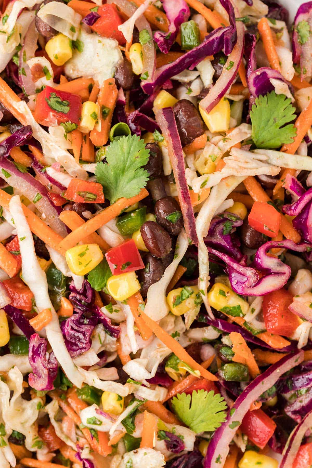 a pile of cabbage, beans, corn, pepper, carrots and cilantro