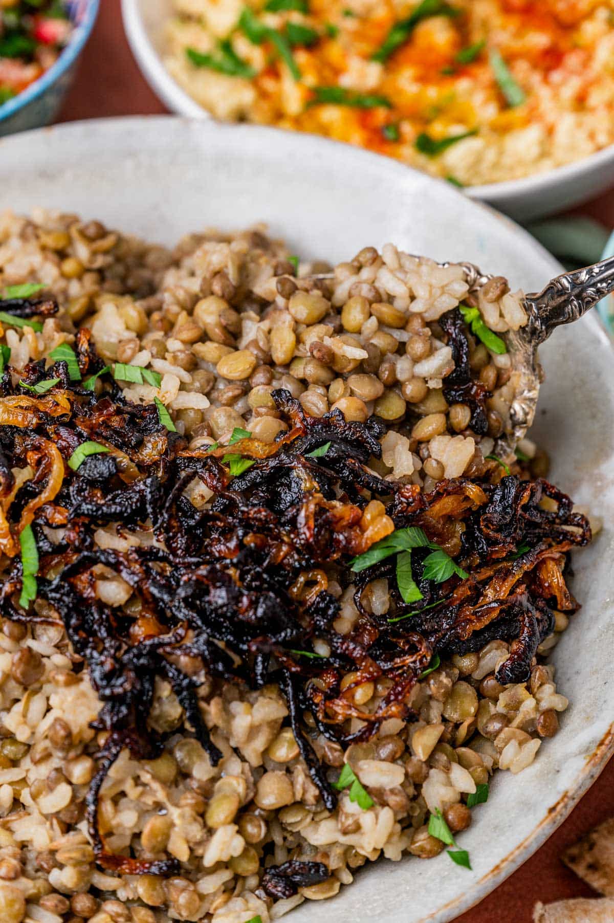 mujadara lentils and rice with crispy onions in a white bowl